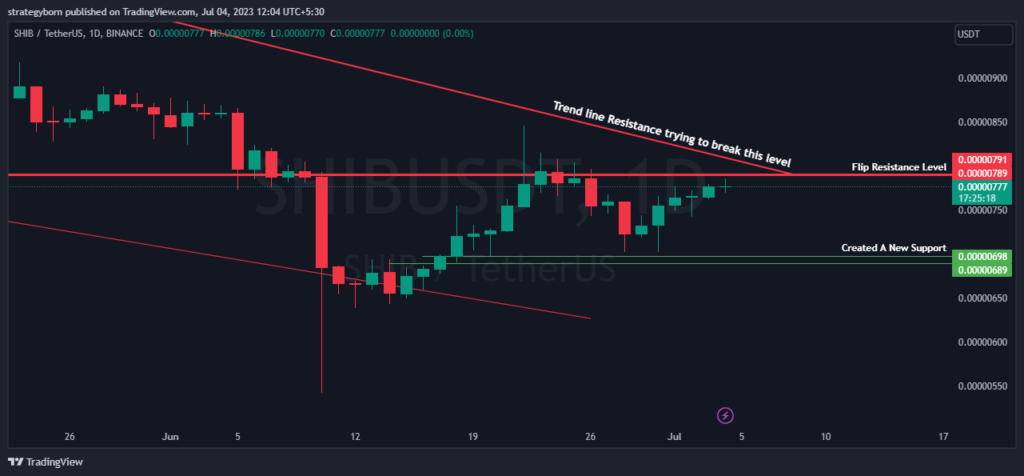 Breaking Boundaries: Shib Coin's Battle Against Resistance – Will it Succeed?